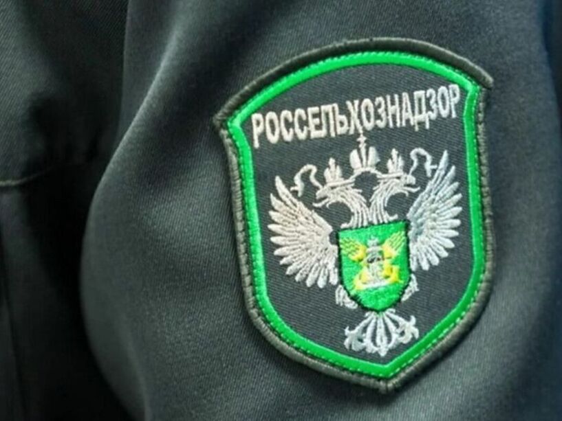 Рекордный объём досмотра сельскохозяйственной продукции в Курской области за 2026 год