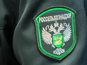 Рекордный объём досмотра сельскохозяйственной продукции в Курской области за 2026 год